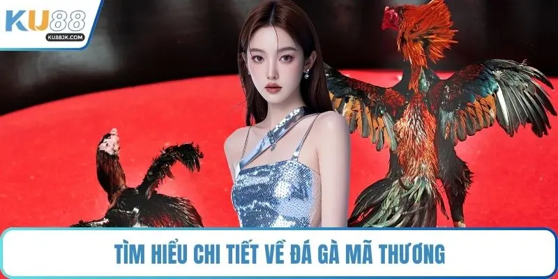 Tìm hiểu chi tiết về đá gà mã thương